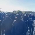 Masked protesters block Dover port roads
